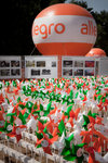 Allegro gra EKO_6.jpeg